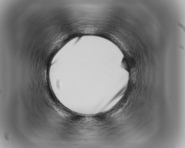 X0000095890589200802081119