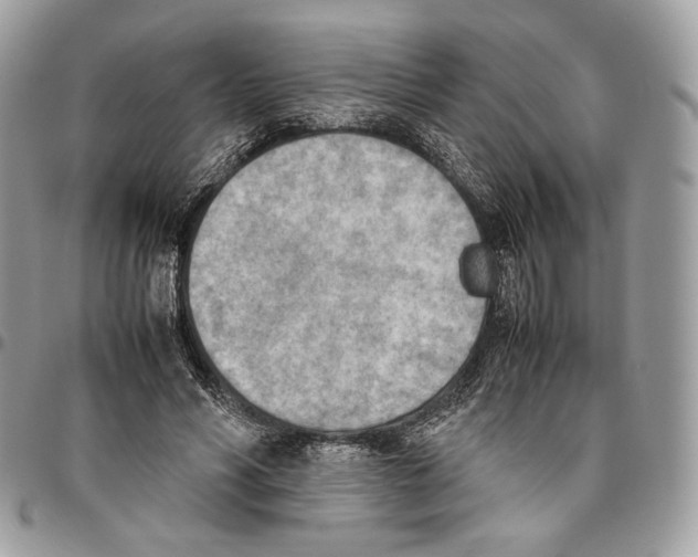 X0000095890590200802081119