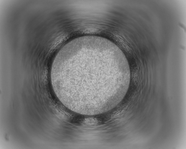 X0000095890591200802081119