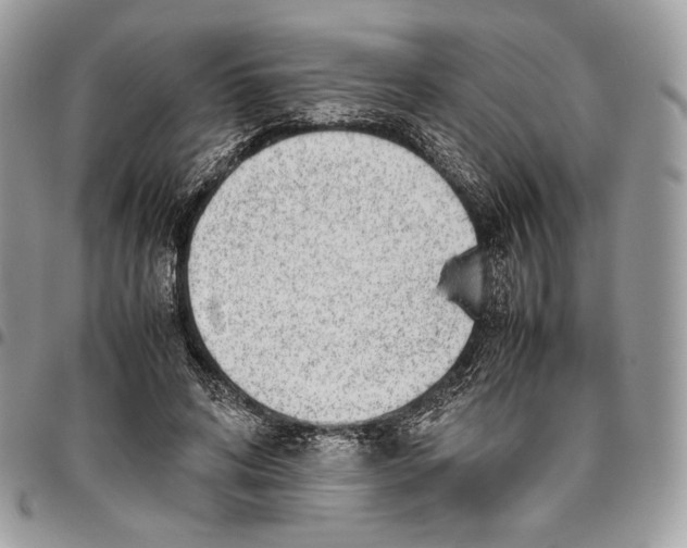 X0000095890592200802081119