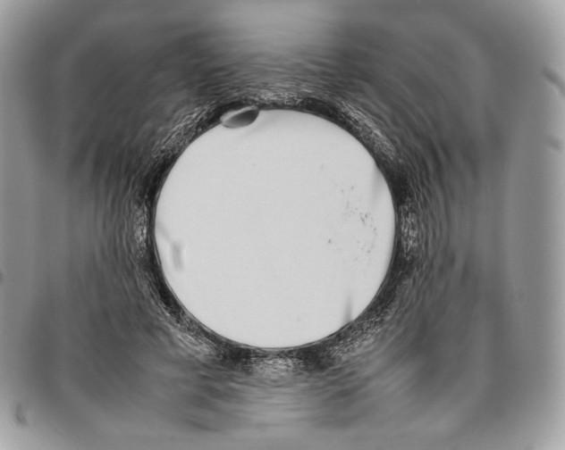 X0000095890593200802081119