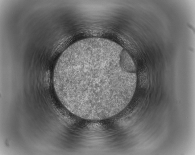 X0000095890594200802081119