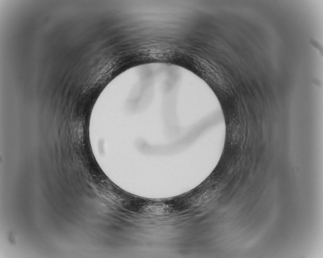 X0000095890595200802081119