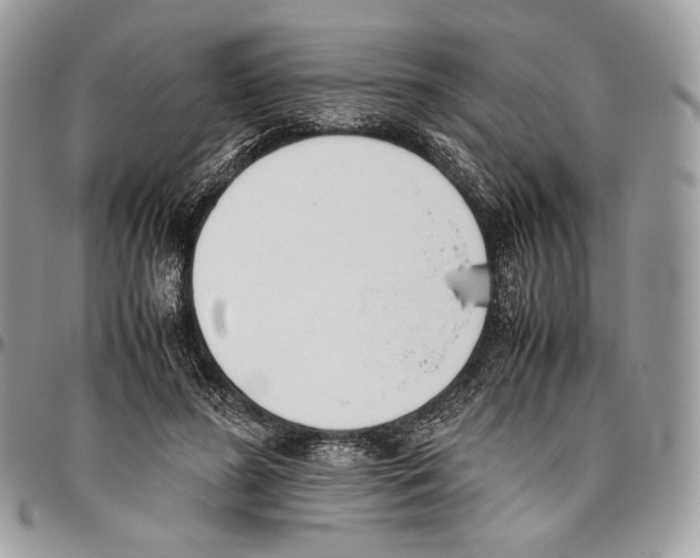 X0000095890596200802081119