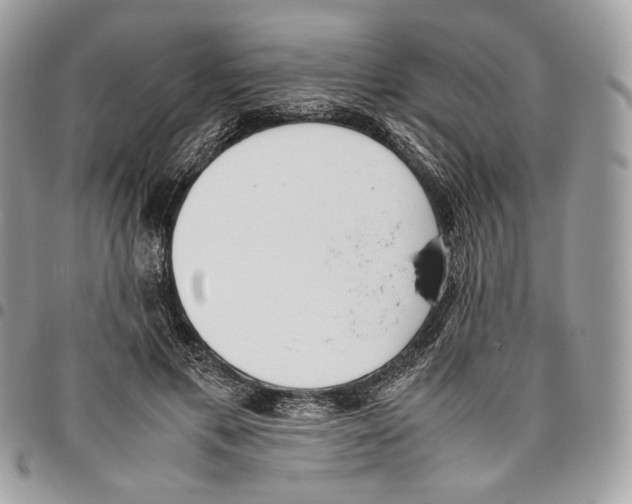 X0000095890597200802081119
