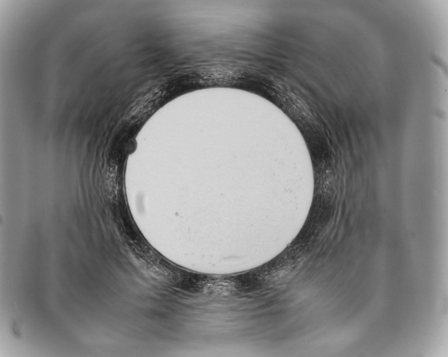 X0000095890599200802081119
