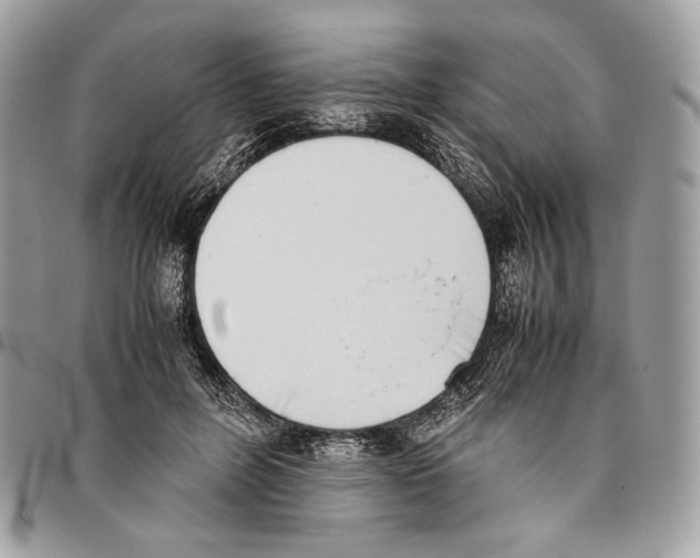 X0000095890600200802081119