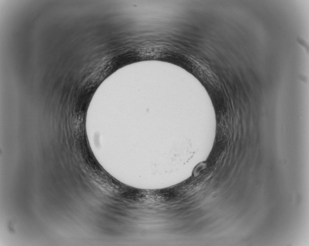 X0000095890601200802081119