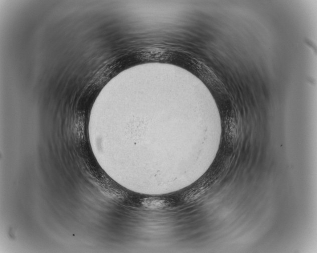 X0000095890602200802081119