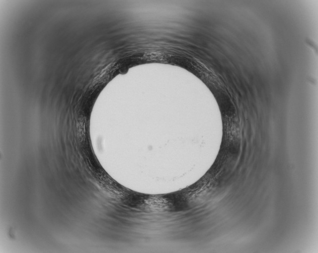 X0000095890603200802081119