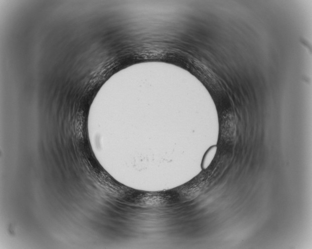 X0000095890604200802081119