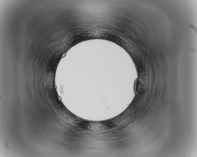 X0000095890605200802081119