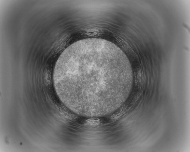 X0000095890606200802081119
