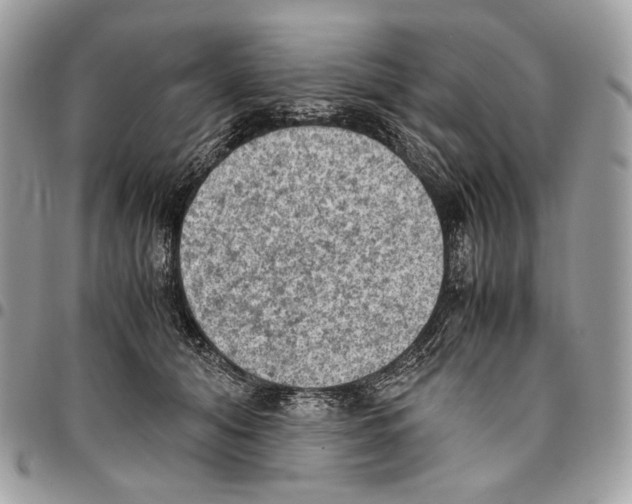 X0000095890608200802081119