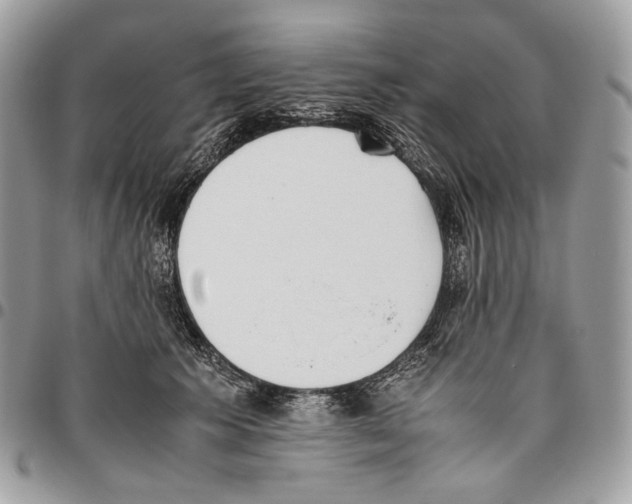 X0000095890609200802081119