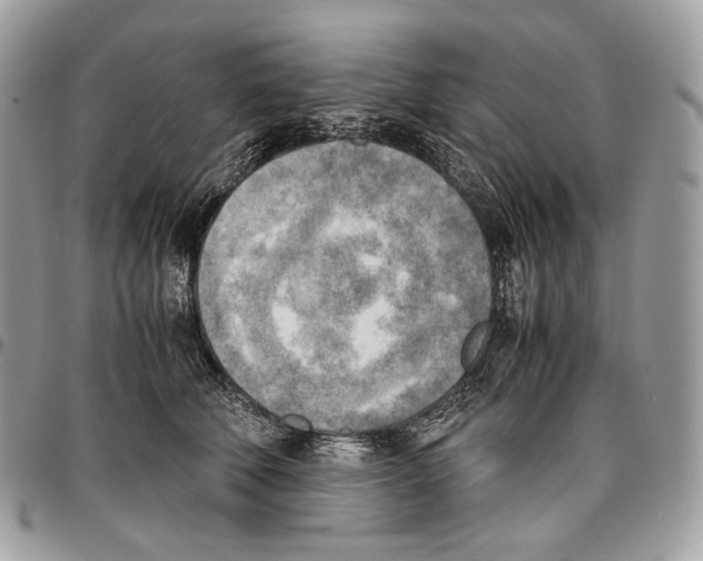 X0000095890610200802081119