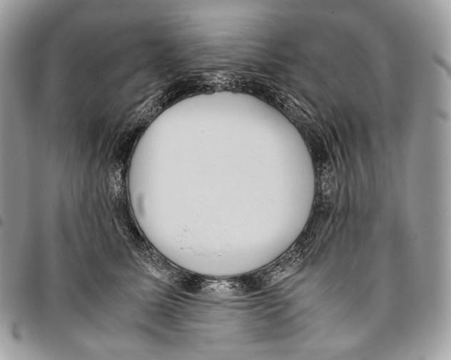 X0000095890611200802081119