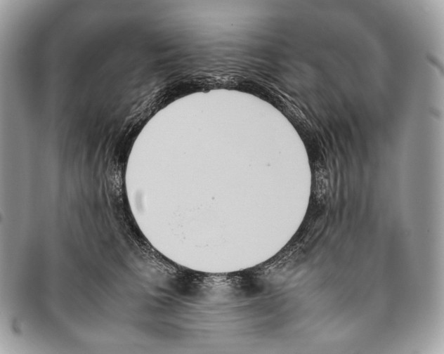 X0000095890613200802081119