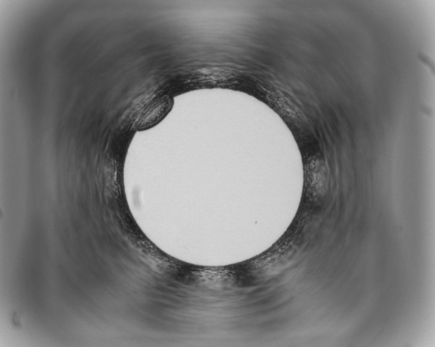 X0000095890615200802081119