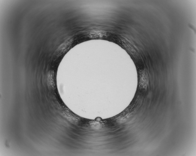X0000095890616200802081119