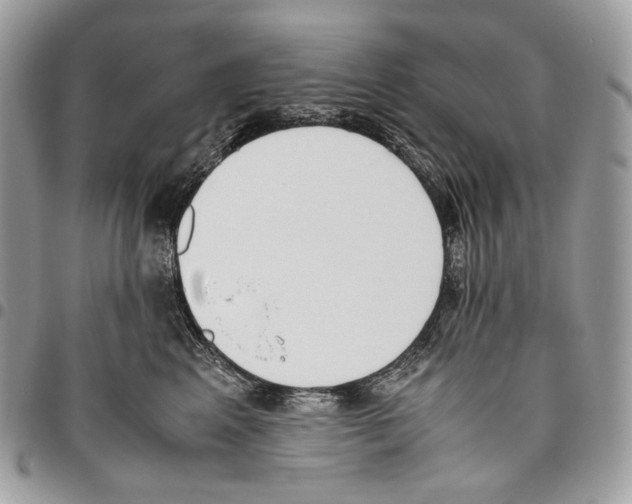 X0000095890617200802081119