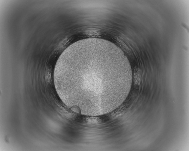 X0000095890618200802081119