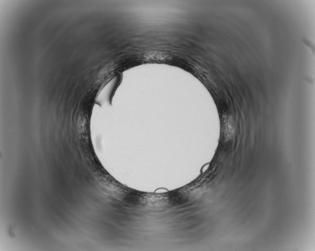 X0000095890619200802081119