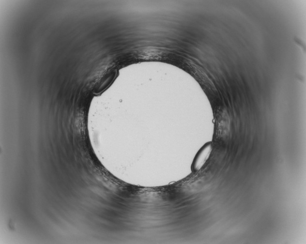 X0000095890620200802081119