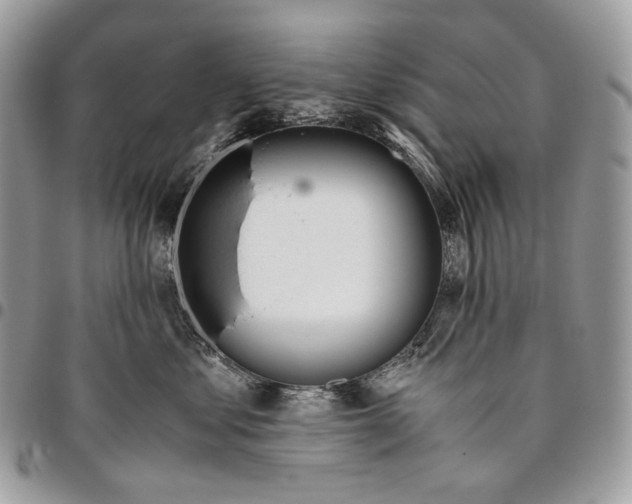 X0000095890621200802081119