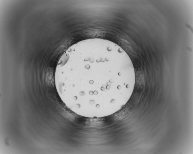 X0000095890622200802081119