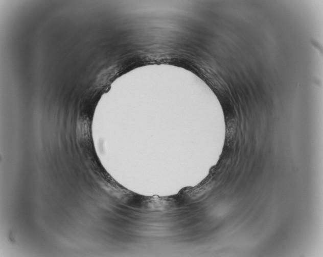 X0000095890623200802081119