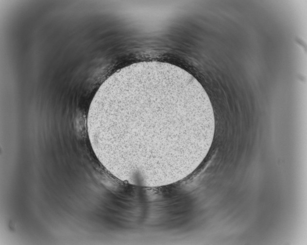 X0000095890624200802081119