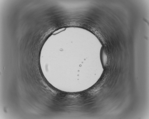 X0000095890625200802081118