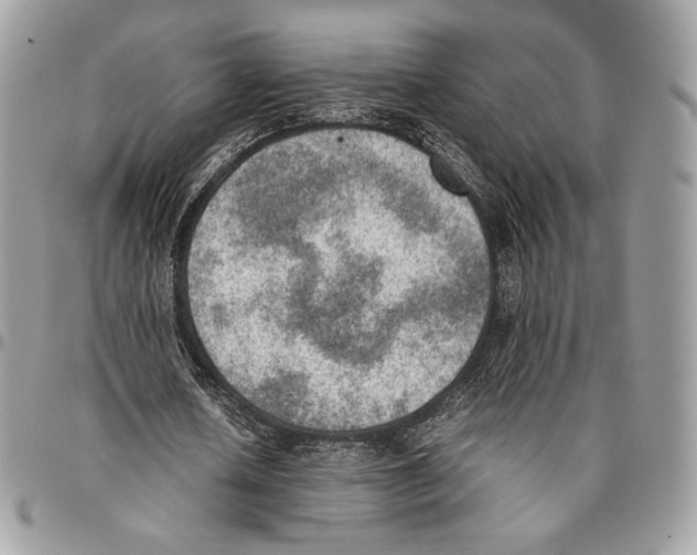 X0000095890626200802081118