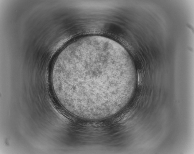X0000095890627200802081118