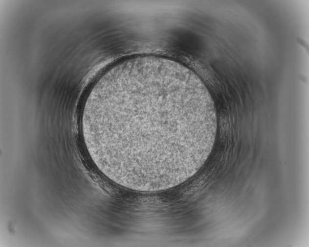 X0000095890628200802081118