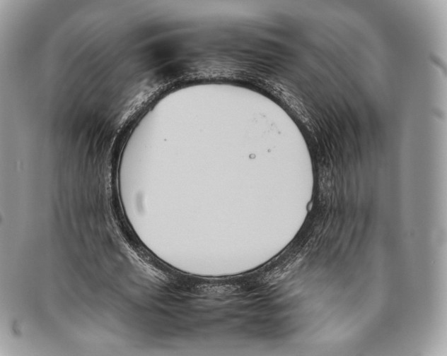 X0000095890629200802081118