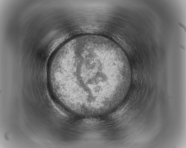 X0000095890630200802081118