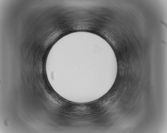 X0000095890631200802081118