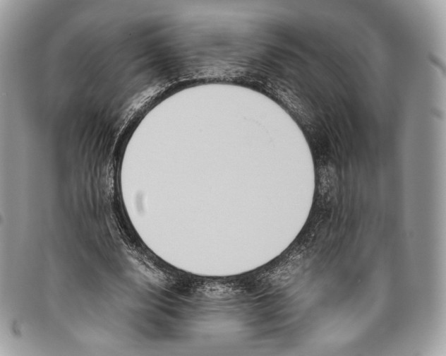 X0000095890632200802081118