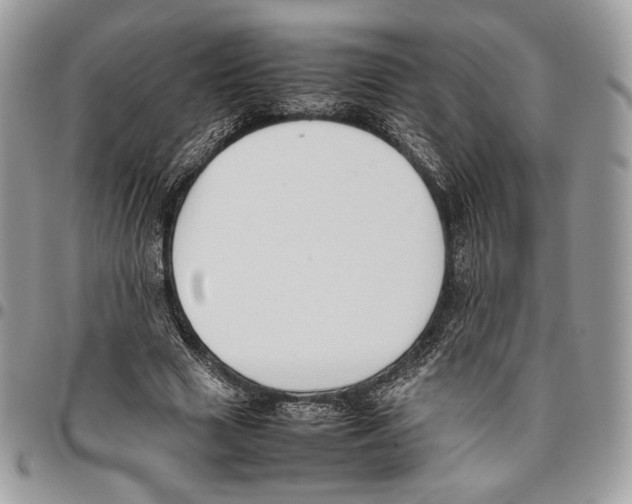 X0000095890633200802081118
