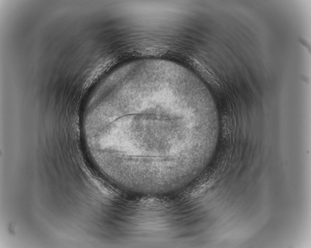 X0000095890634200802081118