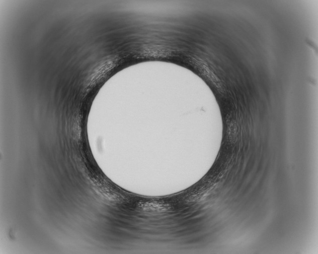 X0000095890635200802081118