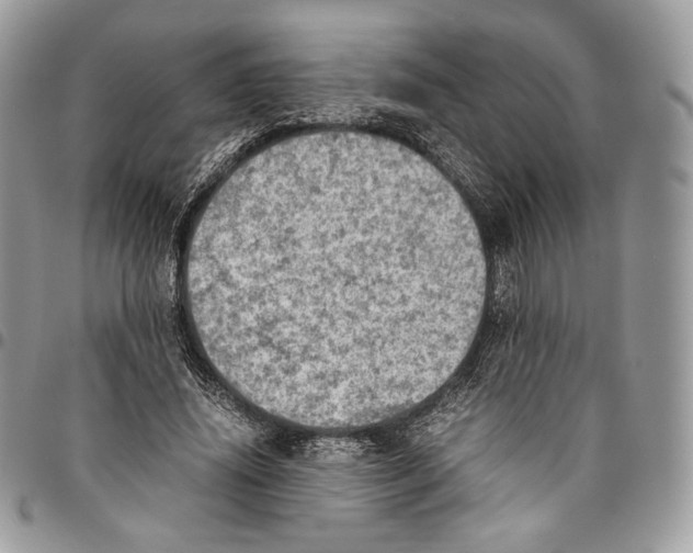 X0000095890636200802081118