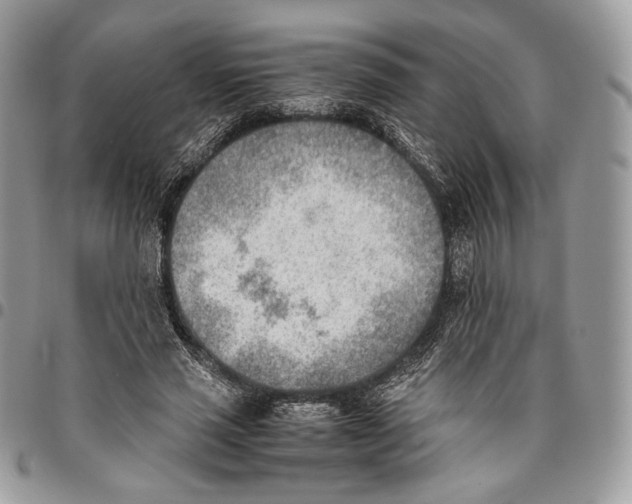 X0000095890637200802081118