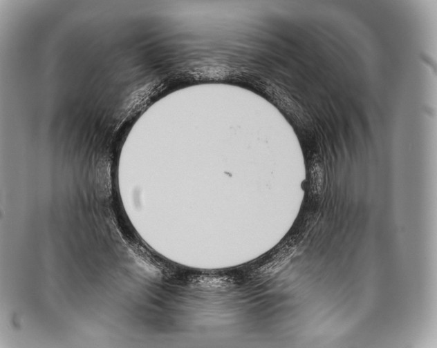 X0000095890638200802081118