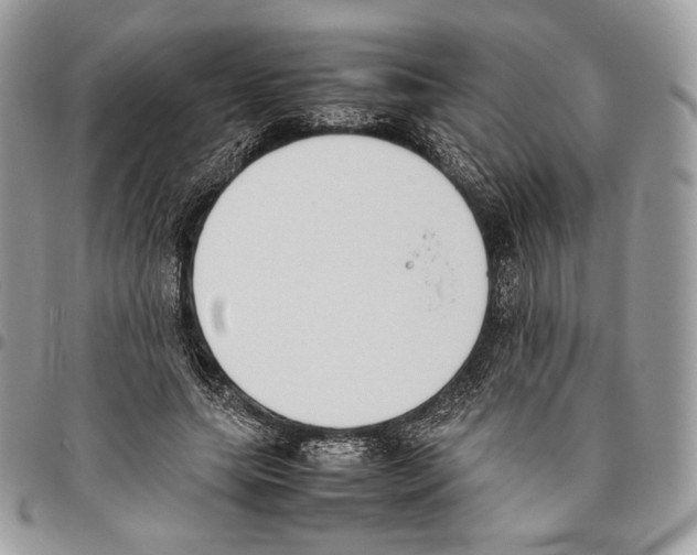 X0000095890639200802081118