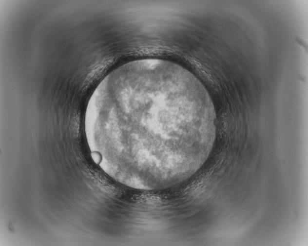 X0000095890640200802081118
