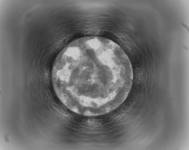X0000095890641200802081118