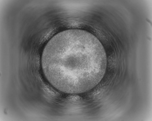 X0000095890642200802081118